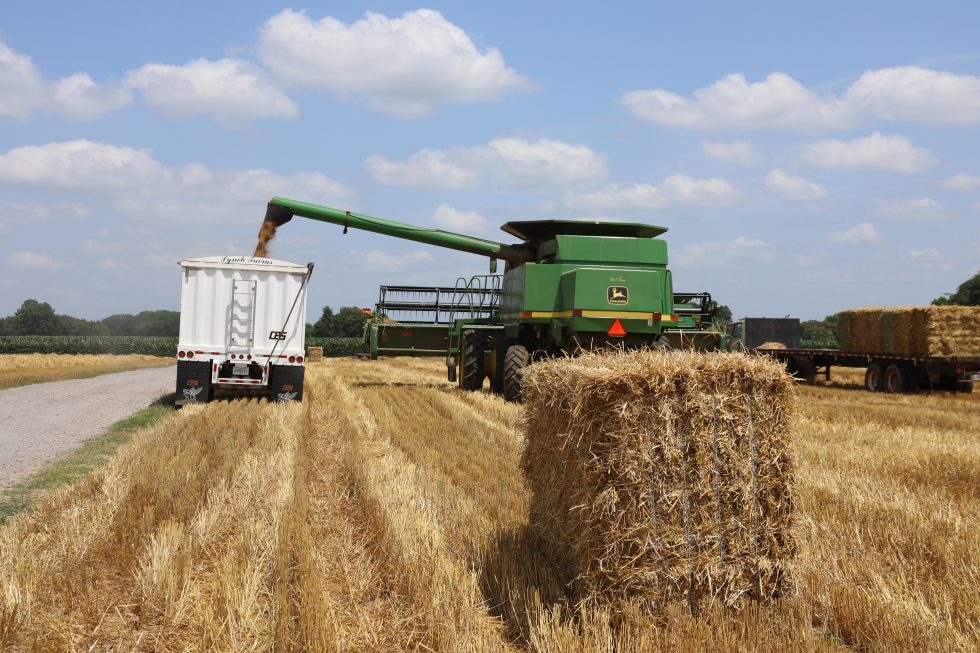 Benefits of Building Your House Using Straw Bales The Straw Barn